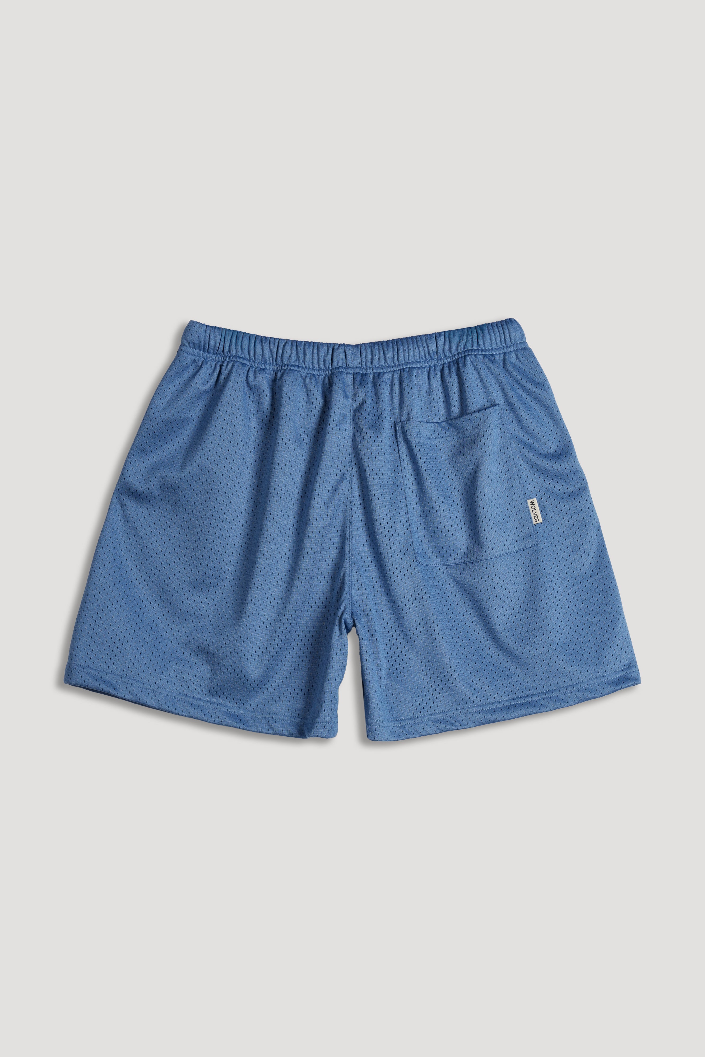 Loyalty Forever Mesh Shorts