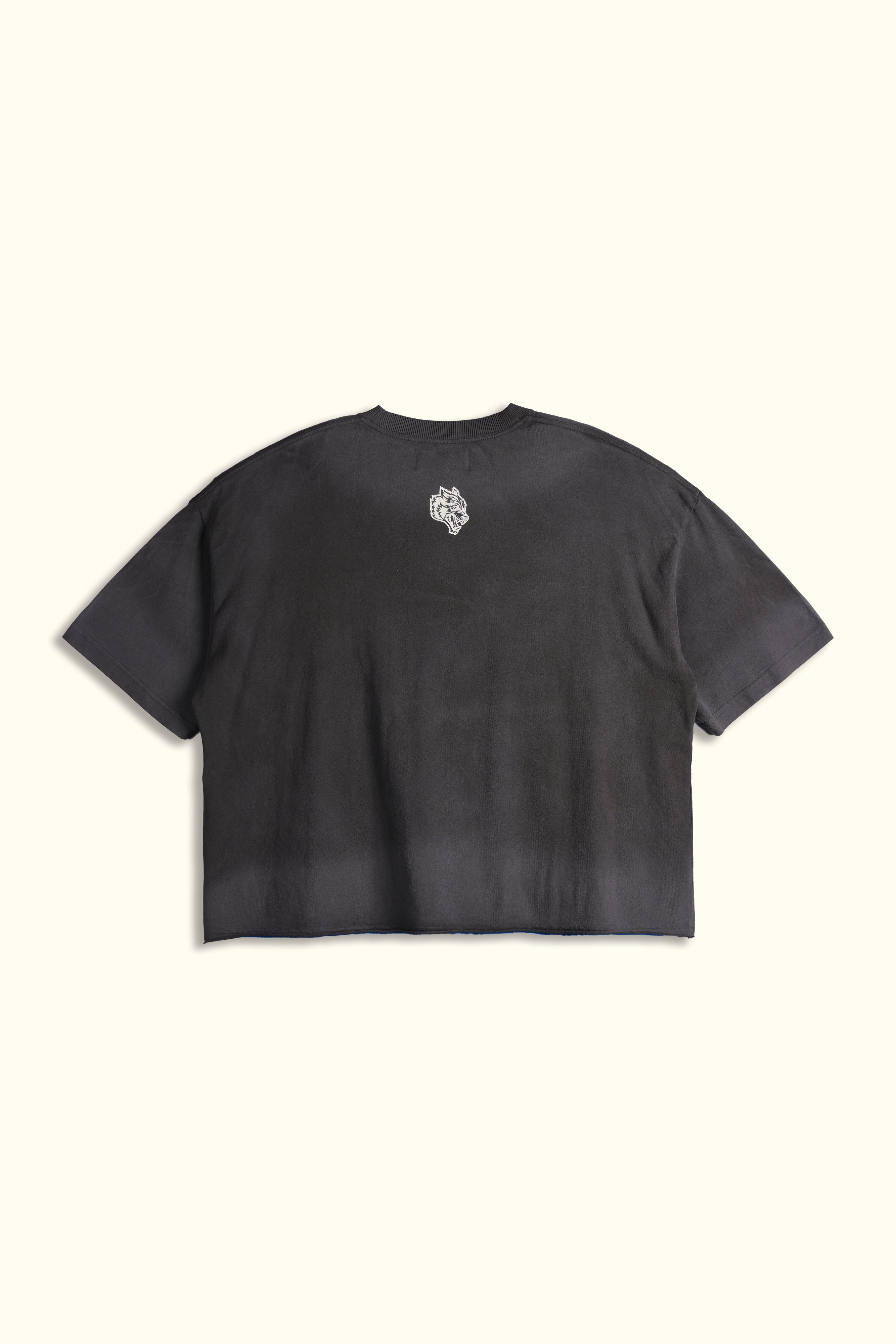 Ohana Wolves Club Grunge Raw Hem Mid Length Tee in Wolf Gray Drift Wash