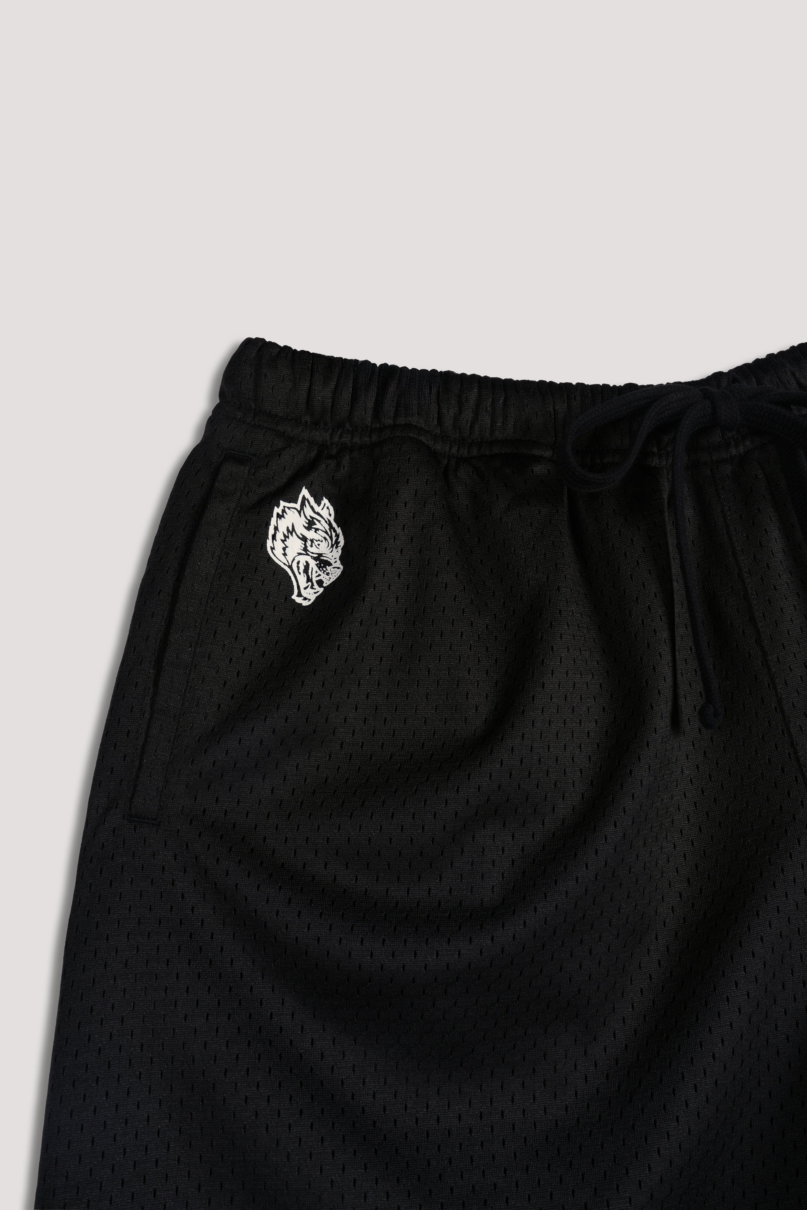 Loyalty Forever Mesh Shorts