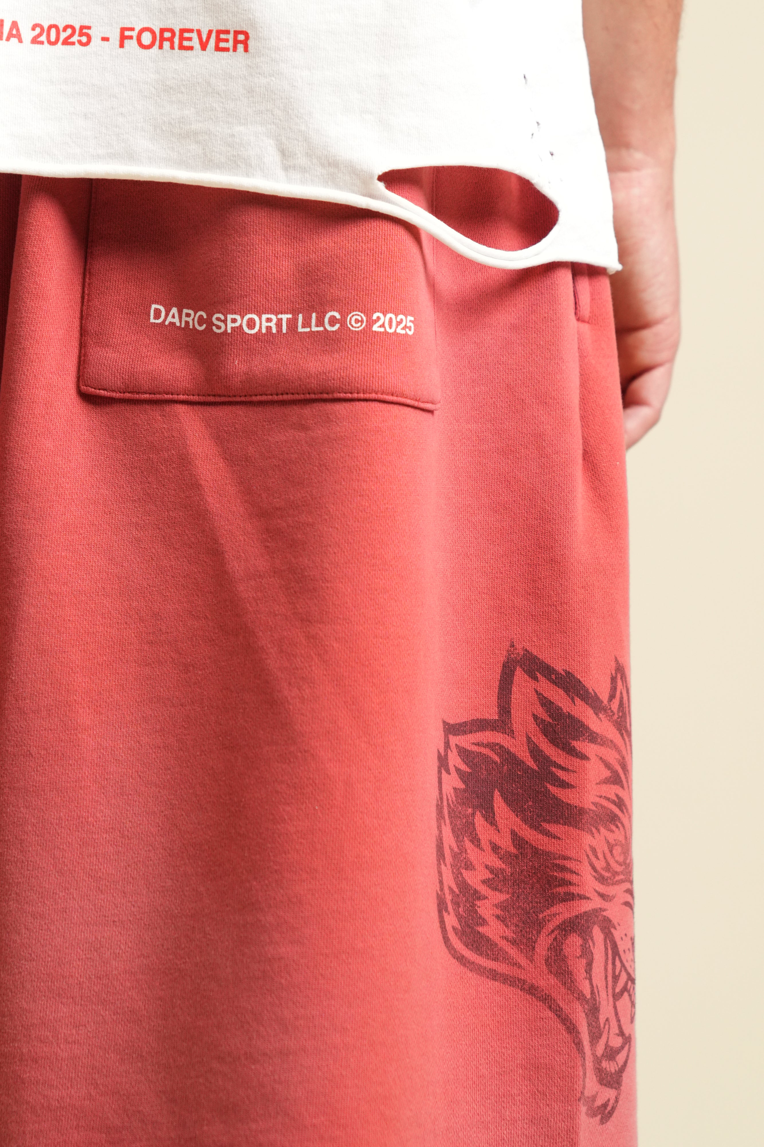 Ohana League Grunge Brock Sweat Short in Roman Red Drift Wash