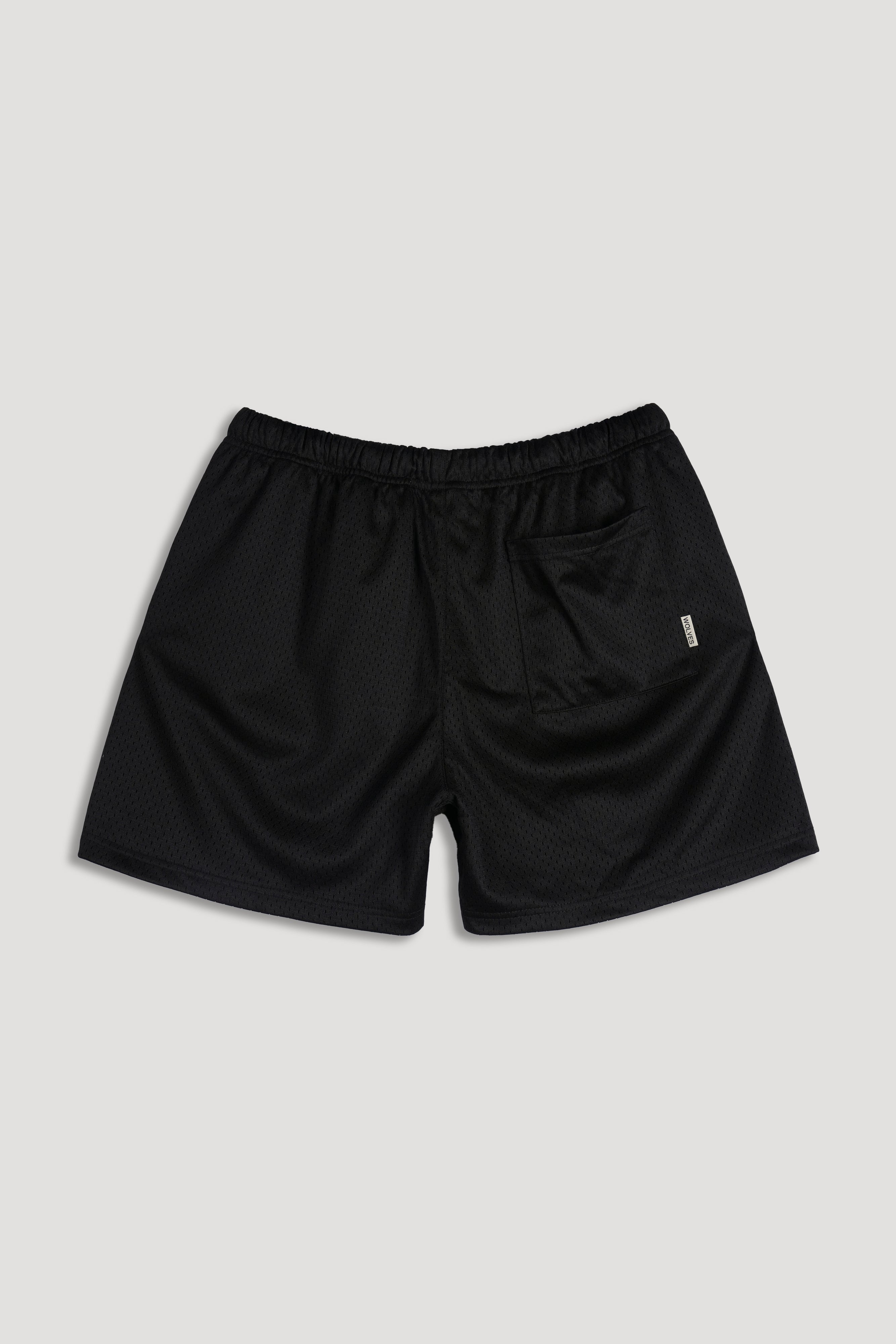 Loyalty Forever Mesh Shorts