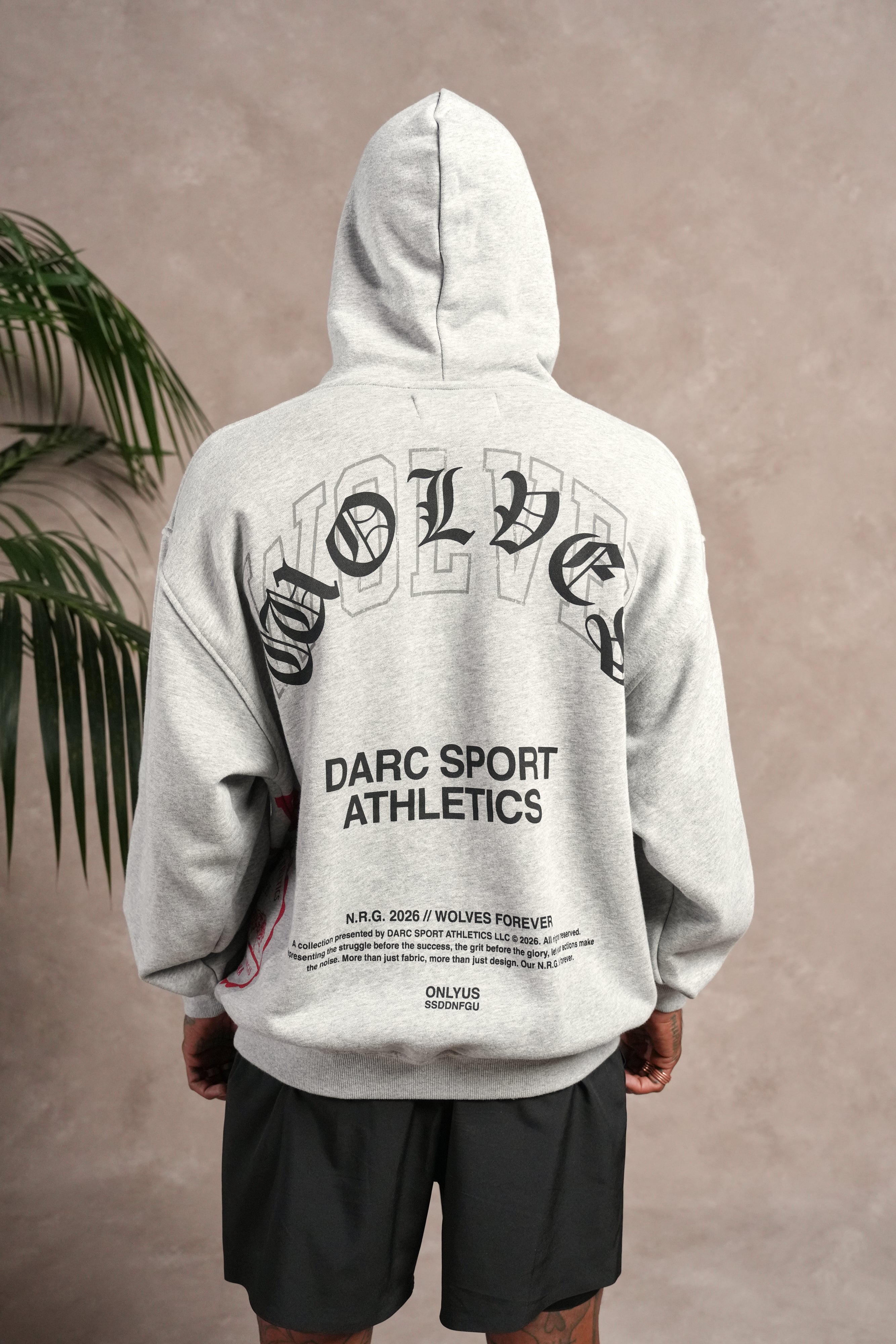 Wolves Athletics Pierce Hoodie in Light Athletic Gray